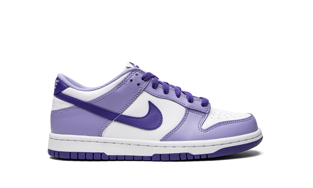 Dunk Low GS "Blueberry" DZ4456 100