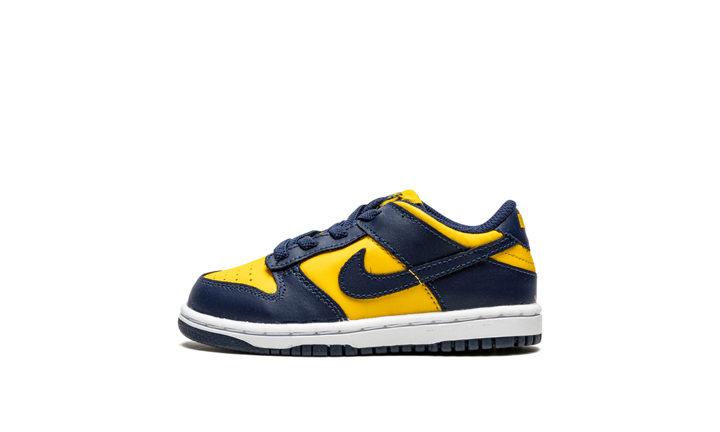 Dunk Low TD "Michigan" CW1589 700