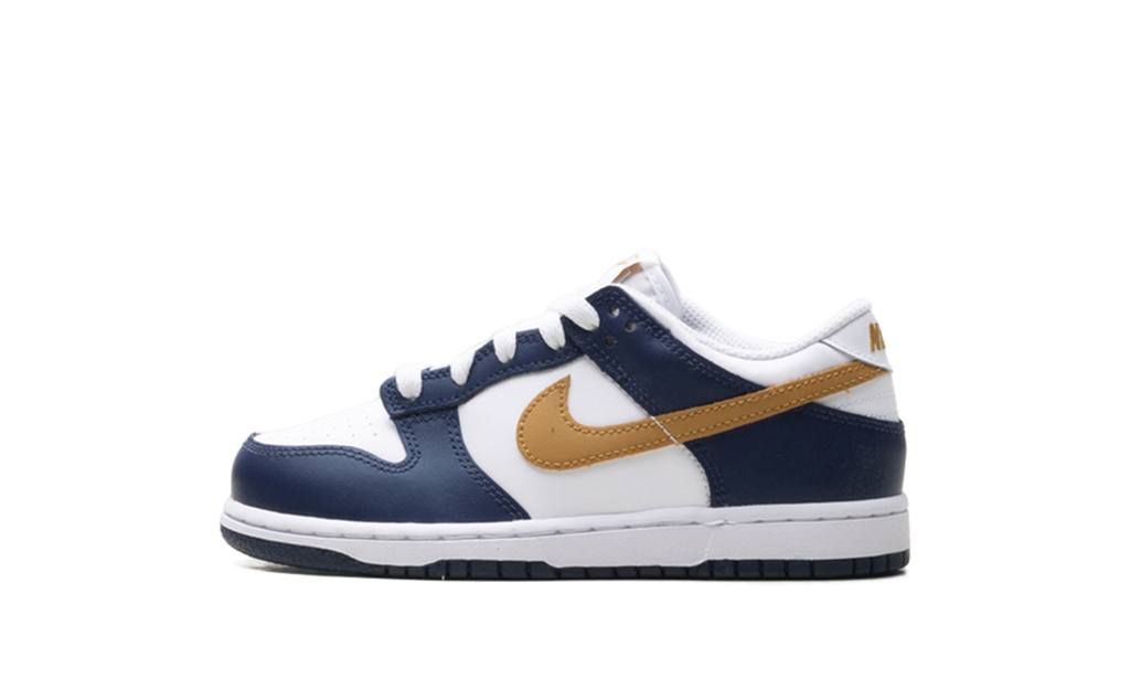 Dunk Low "Navy" FB9108 111