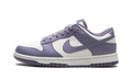 Nike Dunk Low NN WMNS "Day Break" FZ4349 100